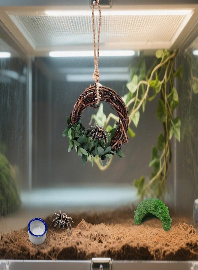Luchike Set of 4 Jumping Spider Enclosure Accessories Jumping Spider Accessories Enclosure Habitat Decor 2 Water Bowl 1 Rattan Swing 1 Little Green Hide - Image 3